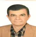 Masoud Safaeepour